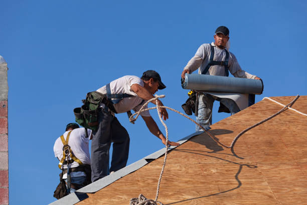 Best Roof Gutter Cleaning  in Poplar Grove, IL